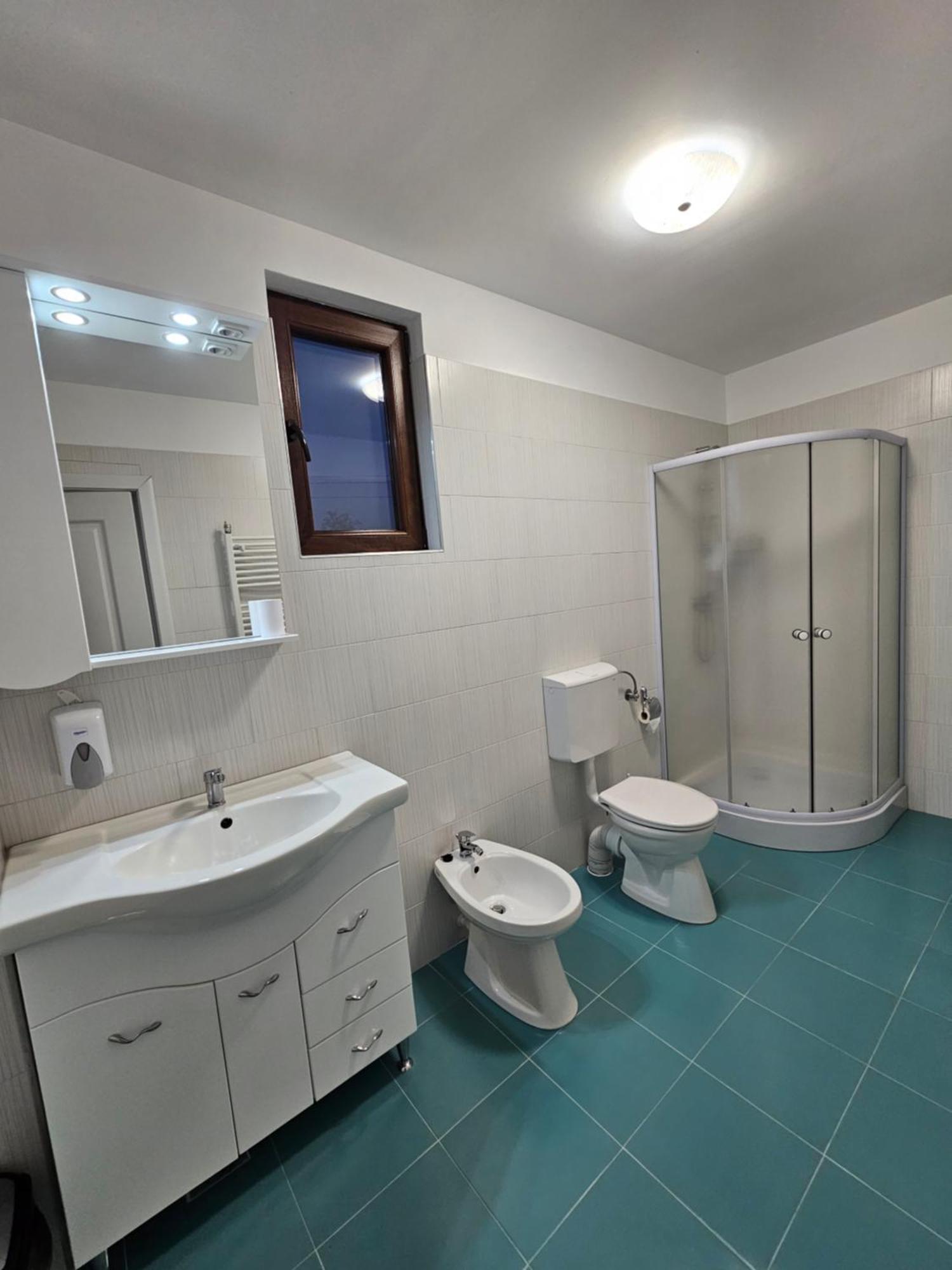 Bed and Breakfast Colt De Rai Hirtoape Номер фото